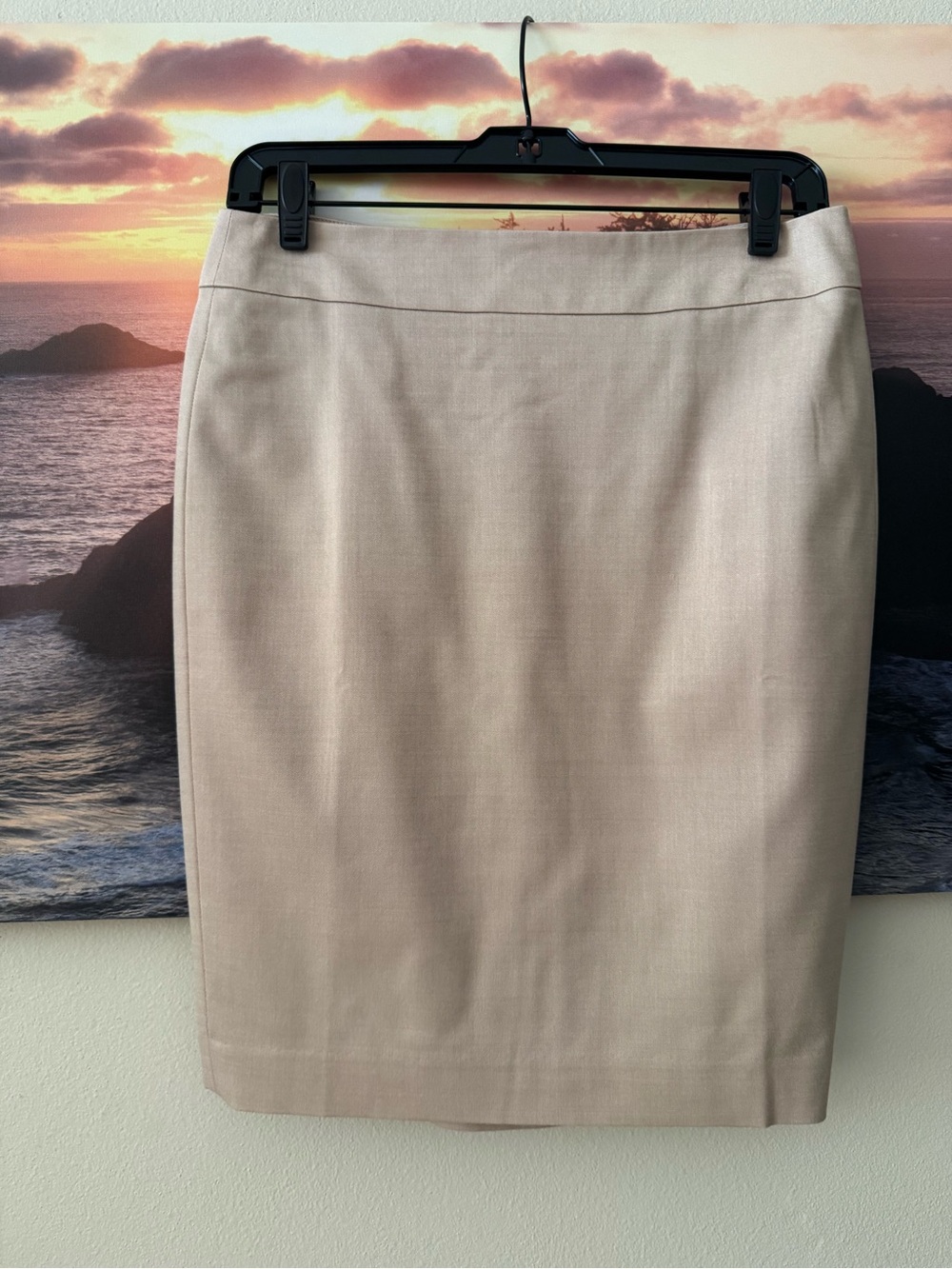 Ann Taylor Beige Women's Pencil Skirt - Classic Professional Style/ 4P/ NWT